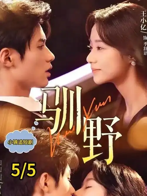 白露为霜 古装探案电视剧全集手机免费观看